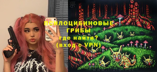 тгк Абаза