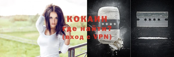 тгк Абаза