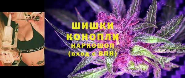 тгк Абаза