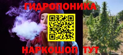 эйфоретик Кандалакша