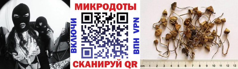Галлюциногенные грибы MAGIC MUSHROOMS  хочу   Егорьевск 