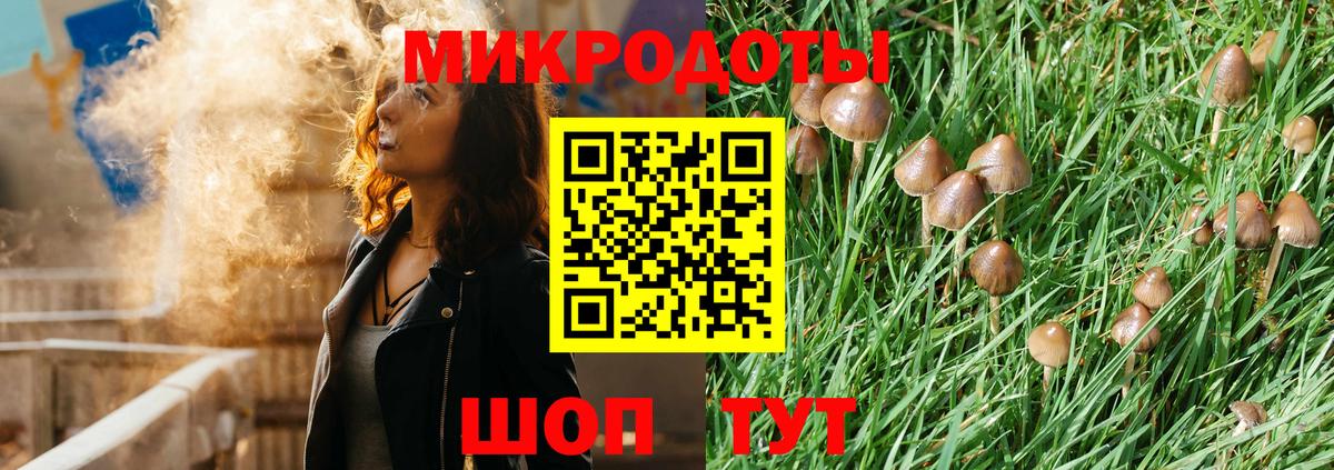 Галлюциногенные грибы GOLDEN TEACHER  Вход с VPN  Псилоцибиновые грибы мухоморы  Егорьевск 