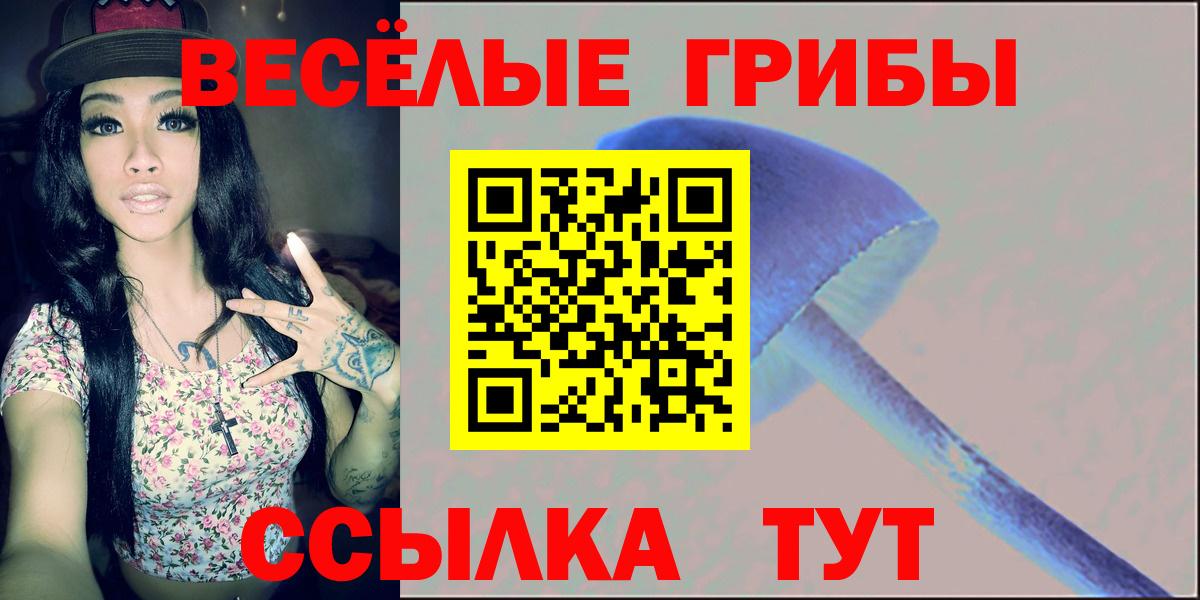 Галлюциногенные грибы ЛСД Егорьевск